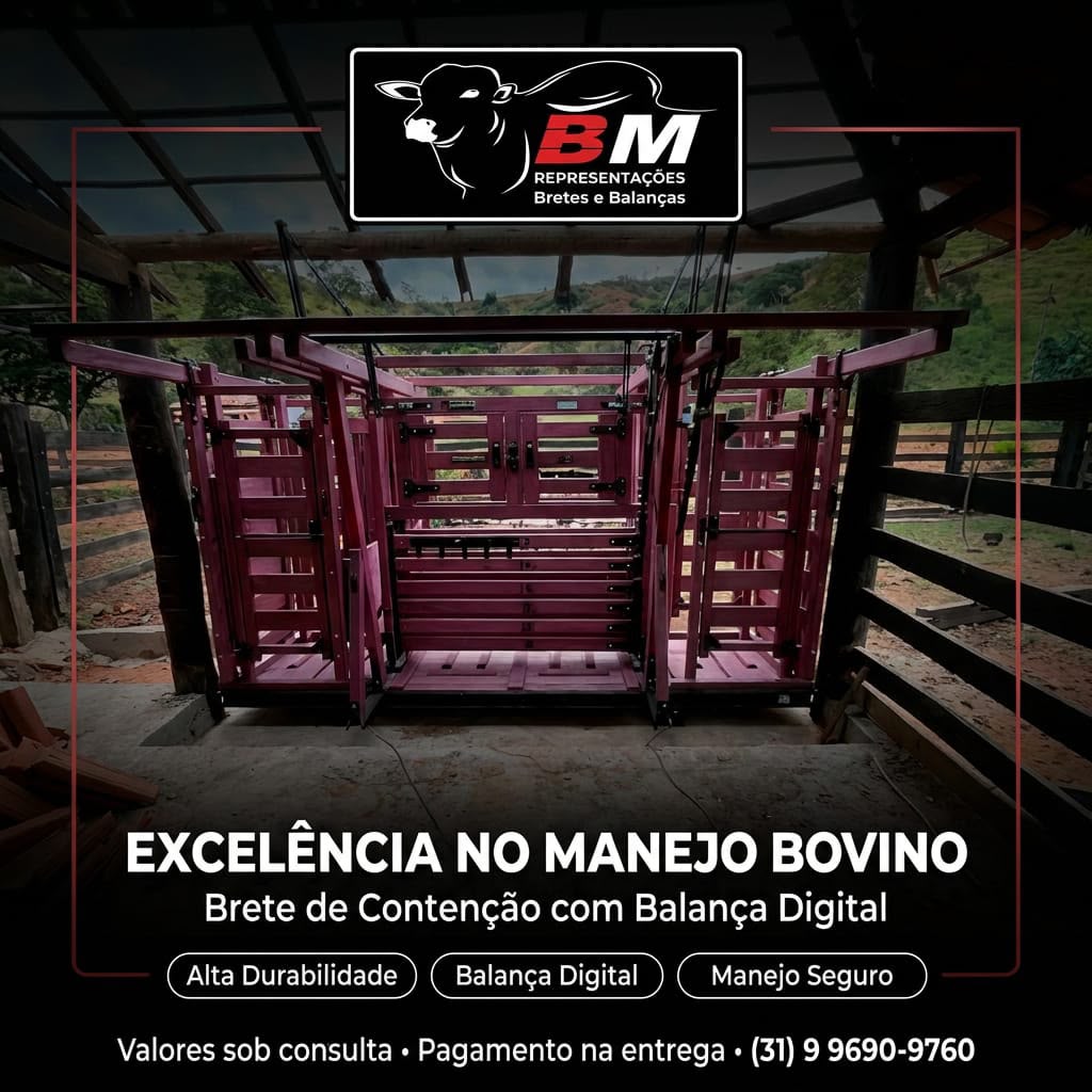 Brete de contenção BM com balança digital instalado em fazenda