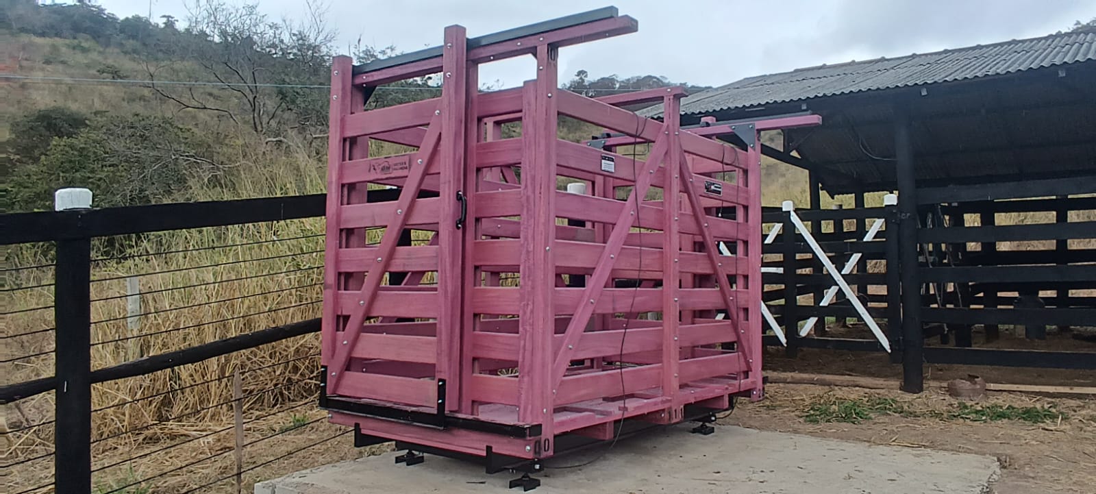 Balança digital de 1.500 kg, toda em roxinho