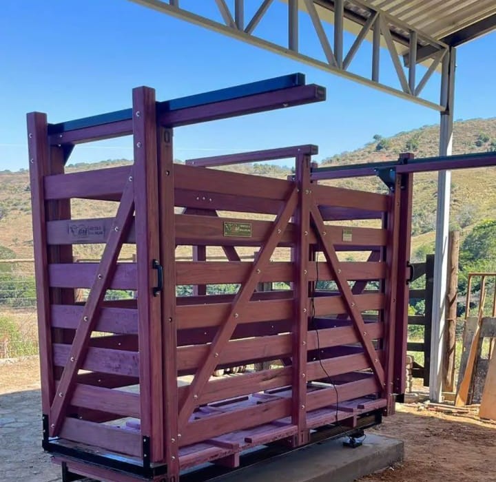 Balança digital de 1.000 kg, toda em roxinho