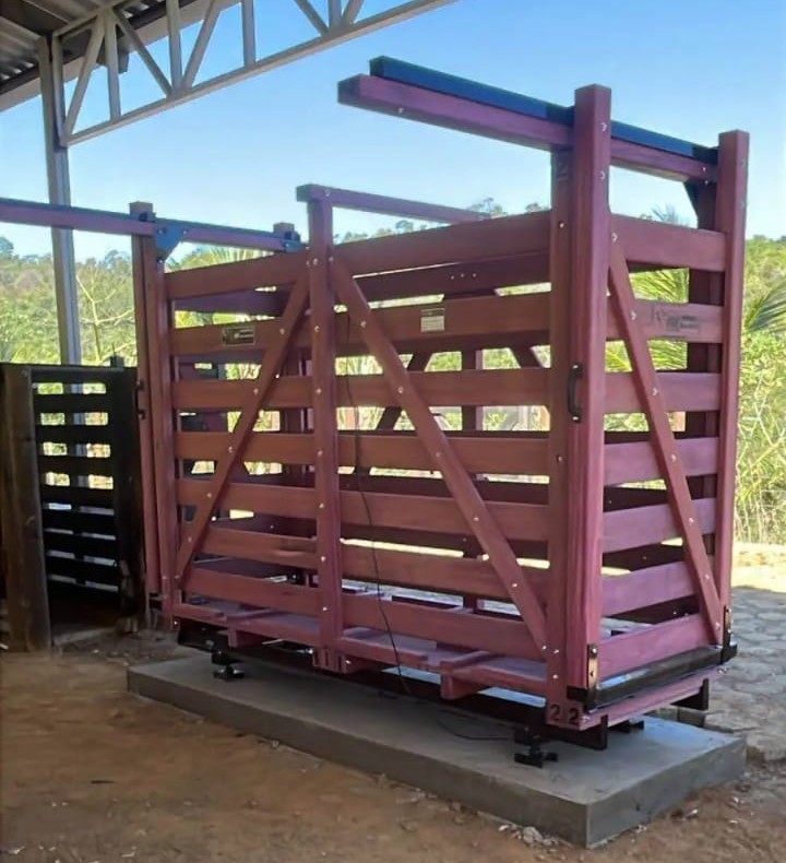 Balança digital de 1.000 kg, 2,90 × 1,00 m, toda em roxinho